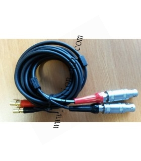 Cable Double Lemo1 vers Microdot